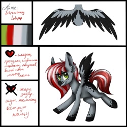 Size: 1024x1024 | Tagged: safe, artist:helemaranth, derpibooru import, oc, oc only, pegasus, pony, pegasus oc, reference sheet, spread wings, wings