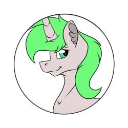 Size: 512x512 | Tagged: safe, artist:chazmazda, derpibooru import, oc, pony, bust, bust shot, commission, commissions open, eye shine, flatcolours, fluffy, green eyes, green hair, photo, portrait, simple background, solo, transparent, transparent background