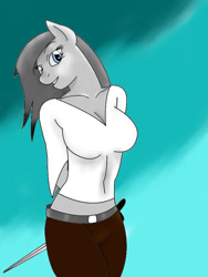 Size: 600x800 | Tagged: safe, artist:derpyhooves113, derpibooru import, oc, oc:silver belle, anthro, anthro oc, breasts, female, solo, solo female, sword, weapon