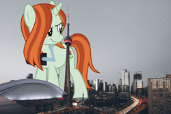 Size: 2400x1600 | Tagged: safe, artist:luckreza8, artist:sanjeev kugan, derpibooru import, edit, editor:jaredking203, crackle cosette, queen chrysalis, changeling, changeling queen, pony, unicorn, building, camera, canada, city, cityscape, cn tower, disguise, disguised changeling, female, giant crackle cosette, giant pony, giant unicorn, giantess, highrise ponies, macro, mare, mega giant, photo, ponies in real life, toronto, vector