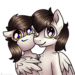 Size: 3000x3000 | Tagged: safe, artist:cornelia_nelson, derpibooru import, oc, oc:broadshield, oc:rough seas, earth pony, pegasus, pony, hug, siblings, winghug