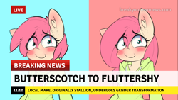 Size: 1280x720 | Tagged: safe, artist:hoodie, derpibooru import, edit, butterscotch, fluttershy, pegasus, pony, semi-anthro, bipedal, blushing, break your own news, breaking news, clothes, female, heart, hoodie, male, male to female, meme, rule 63, self ponidox, solo, transformation, transgender, transgender transformation