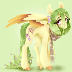 Size: 1434x1427 | Tagged: safe, artist:pastelperyton, derpibooru import, fluttershy, pegasus, pony, clothes, female, flower, flower in hair, gradient background, mare, redesign, scarf, solo