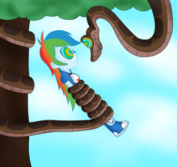 Size: 1799x1696 | Tagged: safe, alternate version, artist:jerrydestrtoyer, derpibooru import, rainbow dash, snake, equestria girls, clothes, coils, colored, crossover, duo, female, hypnosis, hypnotized, kaa, kaa eyes, male, shoes, the jungle book, tree, wrapped up