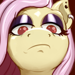 Size: 500x500 | Tagged: safe, artist:cocaine, derpibooru import, fluttershy, pegasus, pony, fluttergoth, goth, looking at you, not impressed, pathetic, piercing