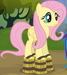 Size: 394x438 | Tagged: safe, derpibooru import, screencap, fluttershy, pegasus, pony, spike at your service, cropped, female, mare