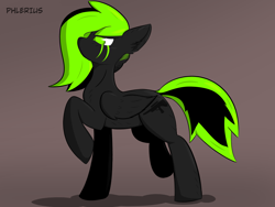 Size: 4000x3000 | Tagged: safe, artist:phlerius, derpibooru import, oc, oc only, pegasus, pony, digital art, solo