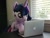 Size: 4608x3456 | Tagged: safe, artist:epicrainbowcrafts, derpibooru import, photographer:sometwifag, twilight sparkle, twilight sparkle (alicorn), alicorn, computer, irl, laptop computer, photo, plushie