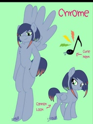 Size: 768x1024 | Tagged: safe, artist:lolitablue, derpibooru import, oc, oc only, oc:google chrome, anthro, pegasus, pony, unguligrade anthro, anthro with ponies, base used, browser ponies, duo, female, google chrome, mare, pegasus oc, reference sheet, signature, smiling, wings