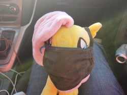 Size: 4000x3000 | Tagged: safe, derpibooru import, fluttershy, coronavirus, covid-19, irl, mask, photo, plushie