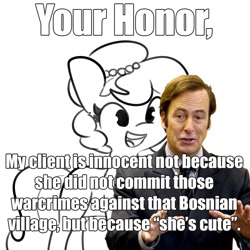 Size: 1024x1024 | Tagged: safe, artist:tjpones, derpibooru import, edit, oc, oc:brownie bun, better call saul, bosnia, meme, text, your honor