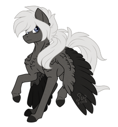 Size: 1424x1536 | Tagged: safe, artist:silentwolf-oficial, derpibooru import, oc, oc only, pegasus, pony, chest fluff, colored hooves, pegasus oc, raised hoof, simple background, solo, transparent background, two toned wings, wings