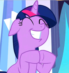 Size: 424x447 | Tagged: safe, derpibooru import, screencap, twilight sparkle, the crystal empire, adorkable, cute, dork, excited, hooves together, twiabetes