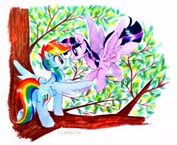 Size: 2685x2198 | Tagged: safe, artist:liaaqila, derpibooru import, rainbow dash, twilight sparkle, twilight sparkle (alicorn), alicorn, pegasus, pony, female, leaves, lesbian, looking at each other, mare, marker drawing, shipping, traditional art, tree, tree branch, twidash