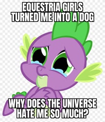 Size: 840x970 | Tagged: safe, derpibooru import, spike, equestria girls, abuse, caption, crying, funny, i can't believe it's not useraccount, image macro, male, meme, sad, shitposting, solo, text