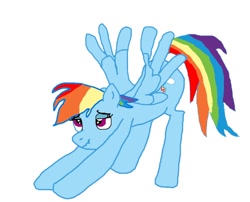 Size: 796x642 | Tagged: safe, artist:strelokfaggot, derpibooru import, rainbow dash, pegasus, pony, /mlp/, 1000 hours in ms paint, doodle, iwtcird, meme, ms paint, paintbrush, simple background, solo, stretching, trace, white background