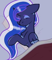 Size: 749x859 | Tagged: safe, artist:lacey.wonder, derpibooru import, princess luna, alicorn, pony, blanket, female, mare, sleeping, solo