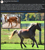 Size: 729x803 | Tagged: safe, verity, earth pony, horse, community related, days end farm horse rescue, female, filly, happy, irl, irl horse, meadow, photo, solo, twitter