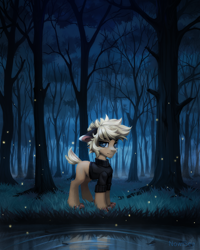 Size: 2000x2500 | Tagged: safe, artist:inowiseei, derpibooru import, oc, oc only, pony, clothes, commission, dark, floppy ears, forest, high res, pond, water