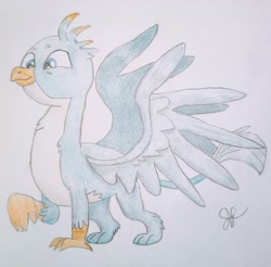 Size: 2821x2776 | Tagged: safe, artist:goldenflow, derpibooru import, gallus, griffon, colored pencil drawing, cute, gallabetes, male, simple background, solo, spread wings, traditional art, white background, wings