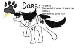 Size: 1000x700 | Tagged: safe, artist:darestorm, derpibooru import, oc, oc only, pegasus, pony, jewelry, master, necklace, paw prints, pegasus oc, raised hoof, reference sheet, simple background, solo, white background, wings