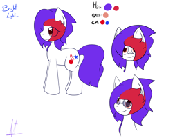 Size: 2666x2166 | Tagged: safe, artist:almaustral, derpibooru import, oc, oc only, oc:bright light, earth pony, pony, bust, earth pony oc, eye clipping through hair, glasses, male, reference sheet, signature, smiling, stallion