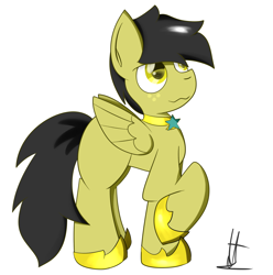 Size: 1354x1366 | Tagged: safe, artist:almaustral, derpibooru import, oc, oc only, pegasus, pony, hoof shoes, pegasus oc, raised hoof, signature, simple background, solo, white background, wings