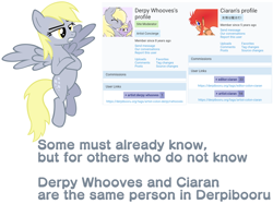 Size: 3940x2950 | Tagged: safe, derpy hooves, oc, oc:ciaran, oc:derpy whooves, pegasus, pony, crossed arms, derpibooru, dialogue, fandom drama, female, flying, mare, meta, simple background, spread wings, text, white background