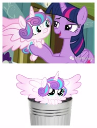 Size: 3106x4096 | Tagged: safe, derpibooru import, screencap, princess flurry heart, twilight sparkle, twilight sparkle (alicorn), alicorn, abuse, flurrybuse, op is a cuck, op is trying to start shit, trash can