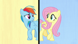 Size: 1280x720 | Tagged: safe, derpibooru import, screencap, fluttershy, rainbow dash, pegasus, pony, fame and misfortune, duo, female, flawless, mare