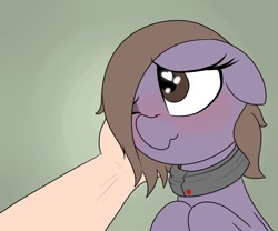 Size: 1200x1000 | Tagged: safe, artist:datte-before-dawn, oc, oc only, earth pony, human, pony, blushing, female, floppy ears, heart eyes, human on pony petting, mare, one eye closed, petting, scrunchy face, slave, slave collar, wingding eyes