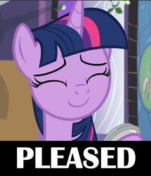 Size: 882x1027 | Tagged: safe, derpibooru import, edit, edited screencap, screencap, twilight sparkle, the summer sun setback, caption, cute, image macro, pleased, text, twiabetes