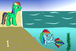 Size: 1280x854 | Tagged: safe, artist:platinumdrop, derpibooru import, rainbow dash, oc, seapony (g4), beach, dawwww, request, seaponified, seapony rainbow dash, species swap