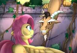 Size: 4096x2874 | Tagged: safe, artist:feital-zebra, derpibooru import, discord, fluttershy, draconequus, pegasus, pony, dock, duo, female, floppy ears, grin, gritted teeth, looking at each other, mare, outdoors, smiling, spread wings, startled, surprised, toothy grin, vine, wall, wings