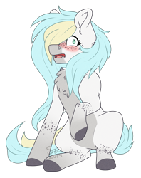 Size: 2461x3112 | Tagged: safe, artist:silentwolf-oficial, derpibooru import, oc, oc only, earth pony, pony, blushing, chest fluff, colored, earth pony oc, embarrassed, raised hoof, simple background, sitting, solo, transparent background