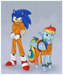 Size: 1079x1280 | Tagged: safe, artist:primaldonna, derpibooru import, rainbow dash, pegasus, pony, bashing, clothes, cuffs, duo, prison outfit, prisoner rd, sonic the hedgehog, sonic the hedgehog (series)