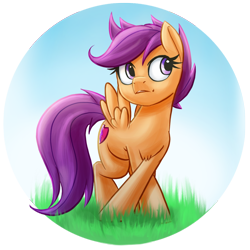 Size: 942x942 | Tagged: safe, artist:ikarooz, derpibooru import, scootaloo, pegasus, pony, chest fluff, crossed legs, female, filly, grass, simple background, solo, transparent background