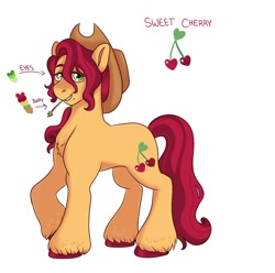 Size: 1280x1269 | Tagged: safe, artist:etchnsketches, derpibooru import, oc, oc:sweet cherry, earth pony, pony, cowboy hat, hat, magical lesbian spawn, male, offspring, parent:applejack, parent:cherry jubilee, parents:cherryjack, simple background, solo, stallion, stetson, straw in mouth, white background