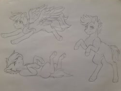 Size: 960x720 | Tagged: safe, artist:silentwolf-oficial, derpibooru import, oc, oc only, earth pony, pegasus, pony, earth pony oc, flying, grayscale, lineart, lying down, monochrome, on back, pegasus oc, rearing, traditional art, wings