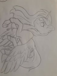 Size: 720x960 | Tagged: safe, artist:silentwolf-oficial, derpibooru import, oc, oc only, alicorn, pony, alicorn oc, grayscale, horn, lineart, monochrome, solo, traditional art, wings