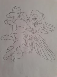 Size: 1072x1440 | Tagged: safe, artist:silentwolf-oficial, derpibooru import, oc, oc only, pegasus, pony, grayscale, lineart, monochrome, open mouth, pegasus oc, smiling, solo, traditional art, wings