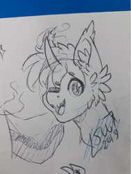 Size: 721x960 | Tagged: safe, artist:silentwolf-oficial, derpibooru import, oc, oc only, pony, bust, ear fluff, flag, grayscale, lineart, monochrome, one eye closed, signature, solo, traditional art, wink