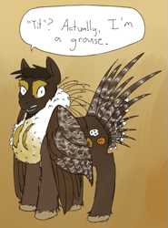 Size: 609x823 | Tagged: safe, artist:anonymous, oc, oc only, pegasus, pony, fake breasts, gradient background, looking at you, male, ponified animal, sage grouse, solo, stallion, unnamed oc, unshorn fetlocks