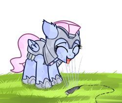 Size: 944x801 | Tagged: safe, artist:neuro, derpibooru import, oc, oc only, crystal pony, pegasus, pony, armor, crystal guard, crystal guard armor, cute, ears, eyes closed, female, floppy ears, grass, guardsmare, happy, helmet, mare, open mouth, royal guard, simple background, smiling, solo, sprinkler, tongue, tongue out, transparent background, water, wet, wings