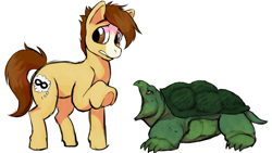 Size: 844x475 | Tagged: safe, artist:plaguetyranno, artist:silent-e, derpibooru import, oc, oc:bug-zapper, earth pony, pony, turtle, male, snapping turtle, stallion, story in the source