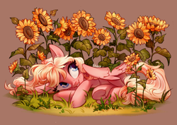 Size: 4093x2894 | Tagged: safe, artist:shore2020, derpibooru import, oc, oc only, pegasus, pony, female, flower, freckles, lying down, mare, smiling, solo, sunflower, underhoof