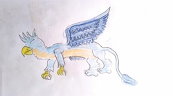 Size: 4032x2240 | Tagged: safe, artist:horsesplease, derpibooru import, gallus, doodle, sleeping, traditional art