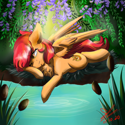 Size: 1235x1235 | Tagged: safe, artist:yuris, derpibooru import, oc, oc only, pegasus, pony, chest fluff, forest, lake, reeds, solo