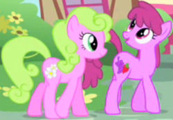 Size: 340x236 | Tagged: safe, derpibooru import, screencap, berry punch, berryshine, daisy, flower wishes, earth pony, pony, party of one, cropped, female, mare