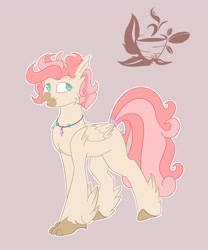 Size: 2548x3061 | Tagged: safe, artist:ponyangle, derpibooru import, oc, oc:shiny shell, hippogriff, curly hair, male, simple background, solo